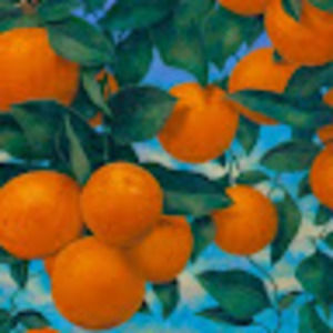 Meet your Posher, Ana isabella